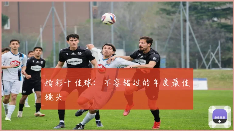 精彩十佳球：不容错过的年度最佳镜头